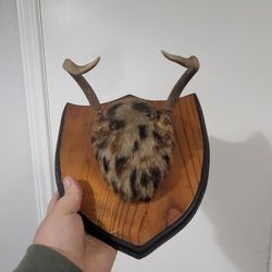 Deer Antlers Mount