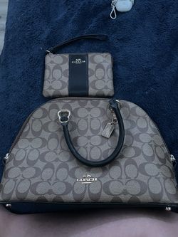 Coach bag and Wallet