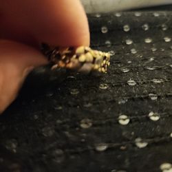 Pure Gold Ring 