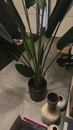 Fake House Plant