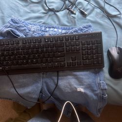 razer ornata v3 x & deathadder mouse