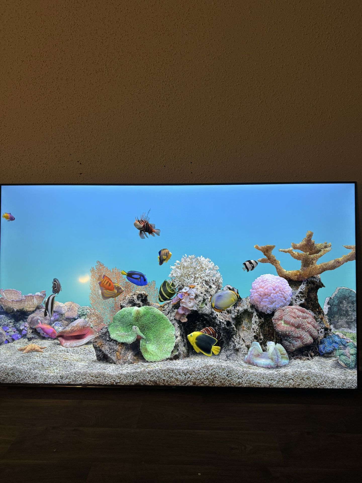 75” TCL Roku Smart Tv