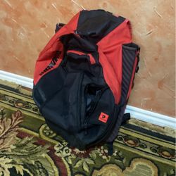 Softball Bag 