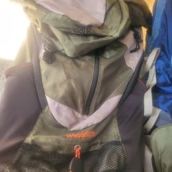 ALps /wasatch Backpack