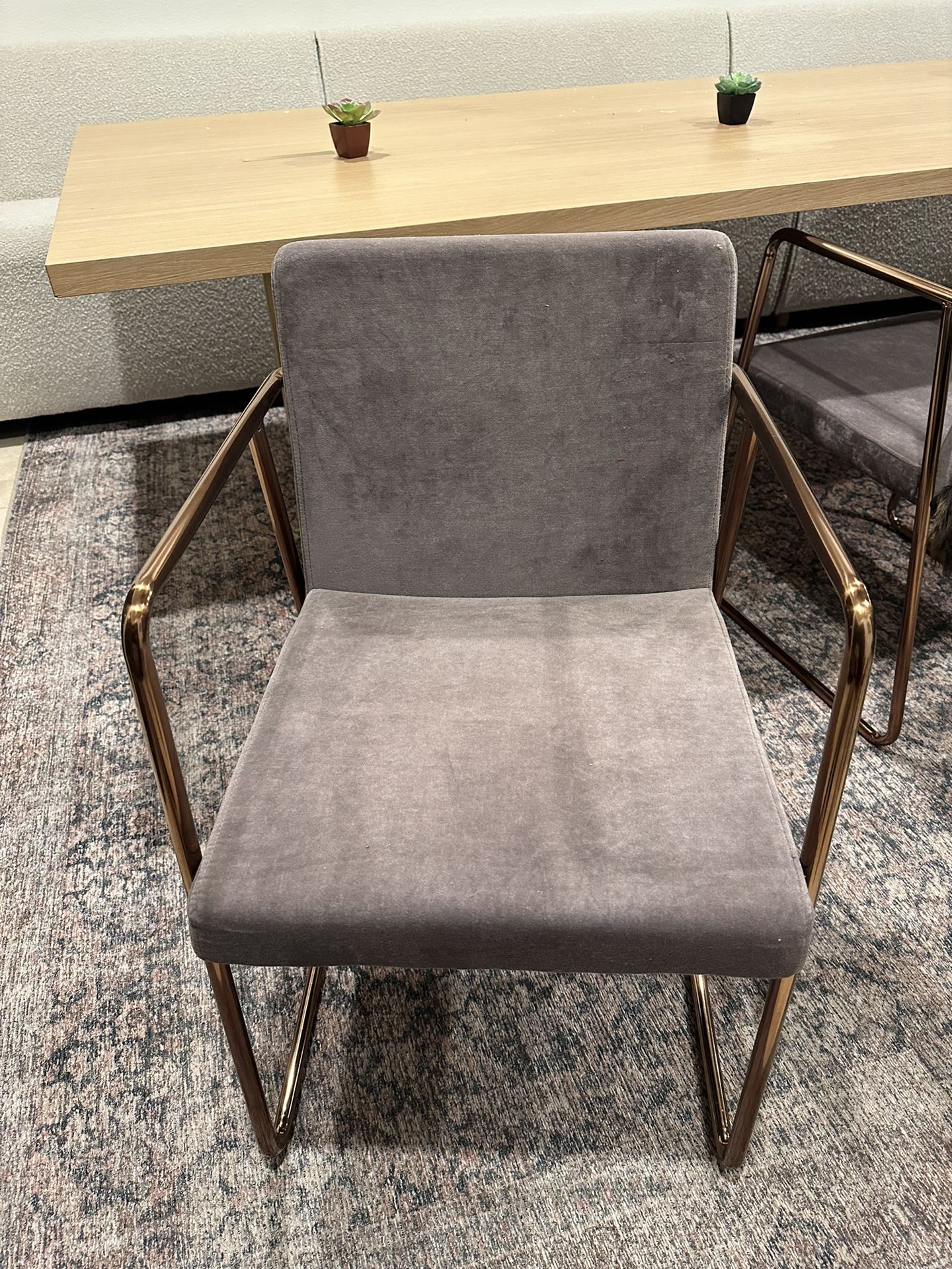 CB2 Eggplant Chairs With Gold Arms