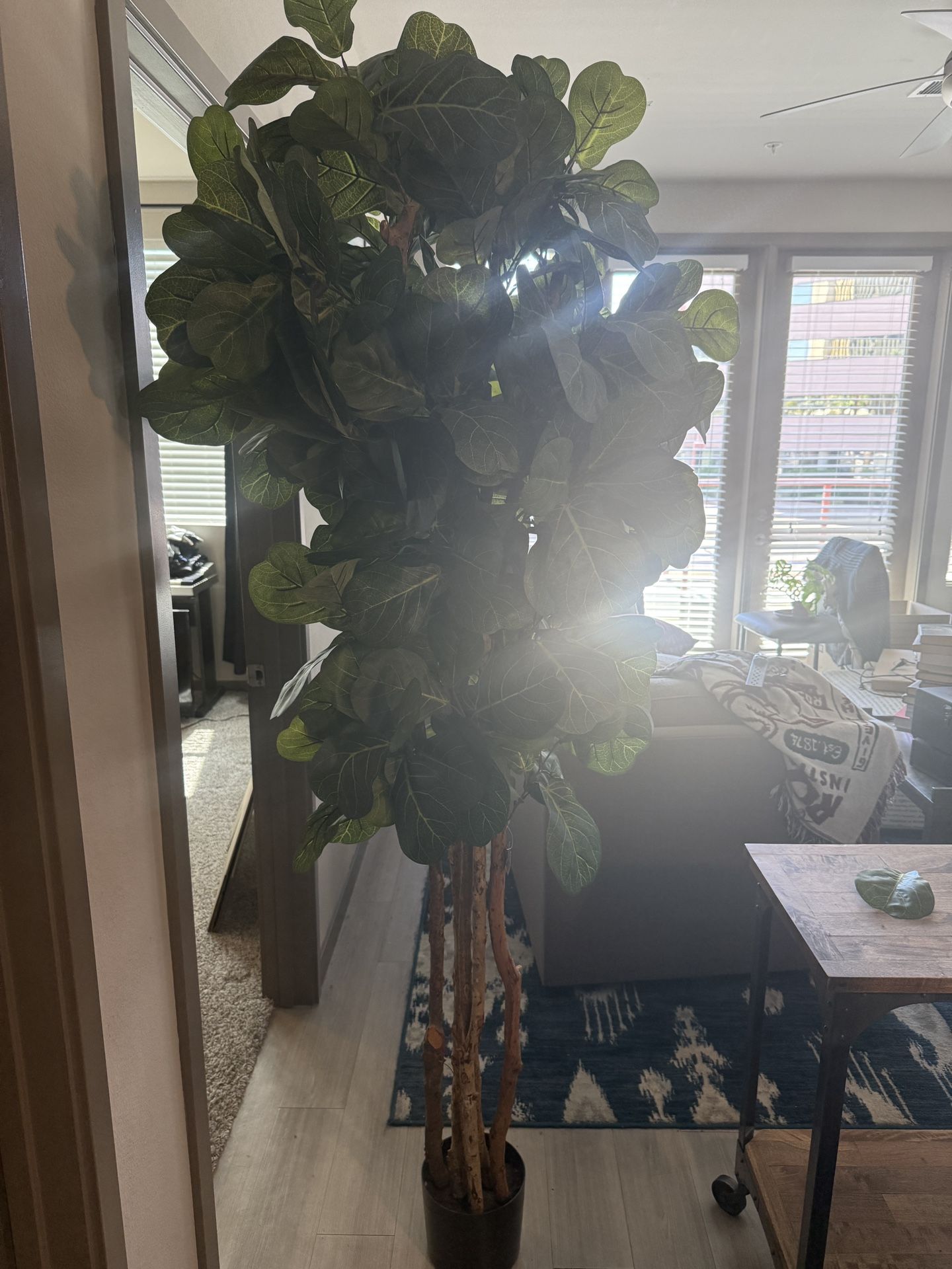 Fake 6.5 Foot Indoor Plants