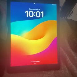 iPad 