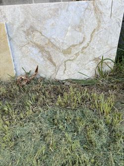 Quartzite Remnants Taj Mahal