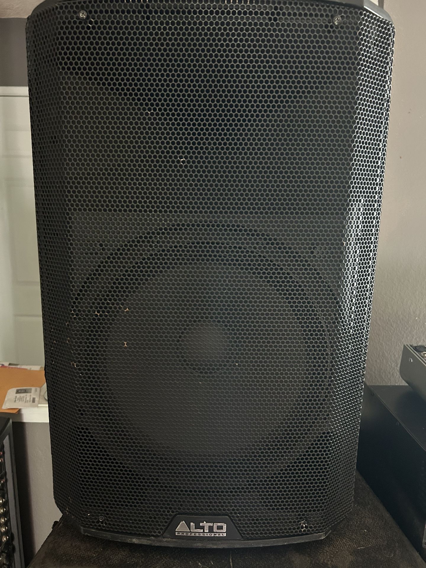 Alto Speaker 12 Inch