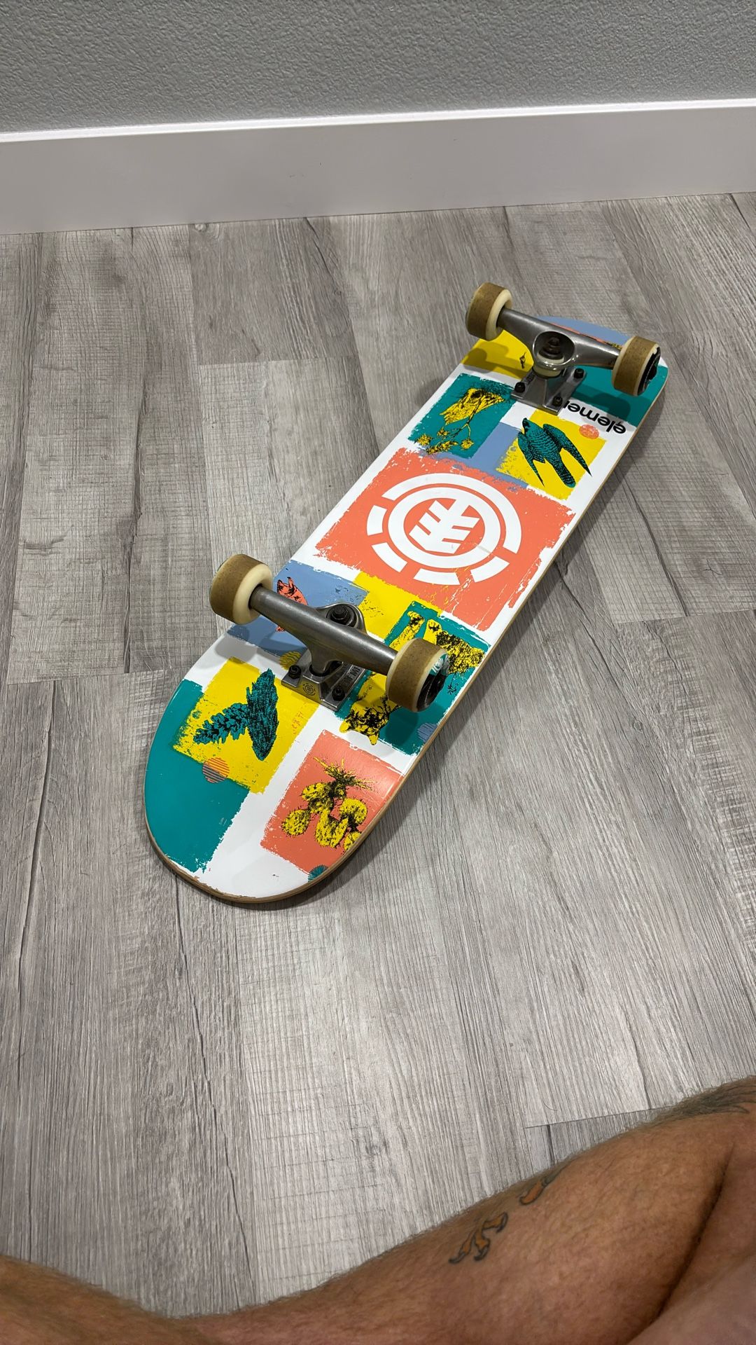 Element Skate Board