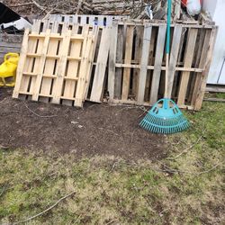 Wood Pallets 