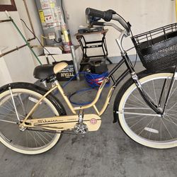 Schwinn Cruiser 3