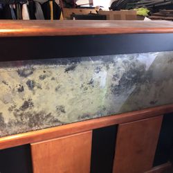 155 Gallon Fish Tank