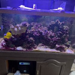 120 Gallon Fish Tank With Stand