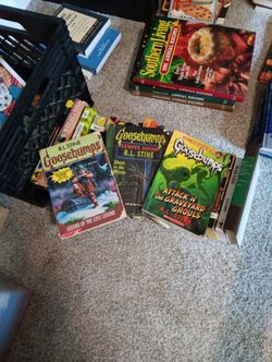 RL Stine Goosebumps Books