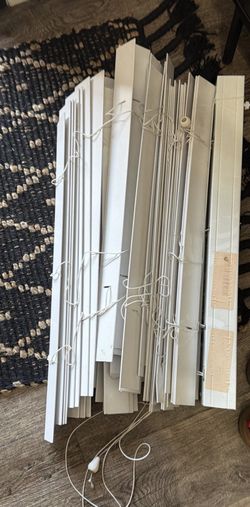 Door Blinds