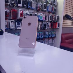 iPhone 8 Gold 64GB Unlocked 160$ Only Cash