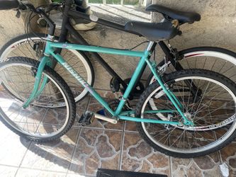 Bisho Ku Pueblo Vintage Bike(needs Work)