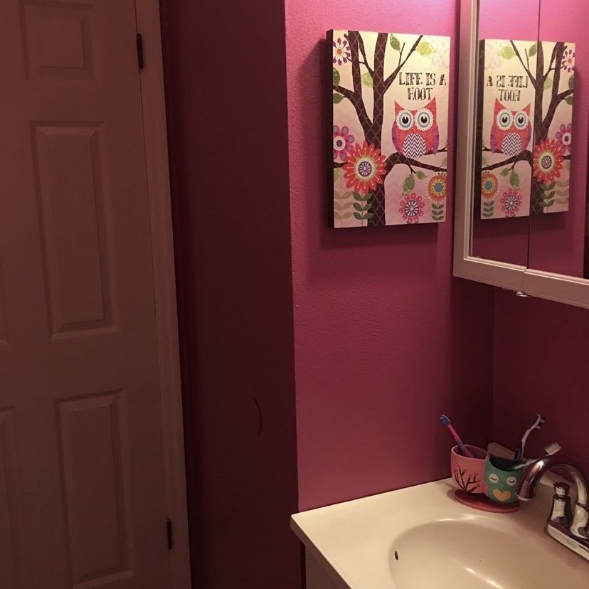 Girls Owl Bathroom Decor
