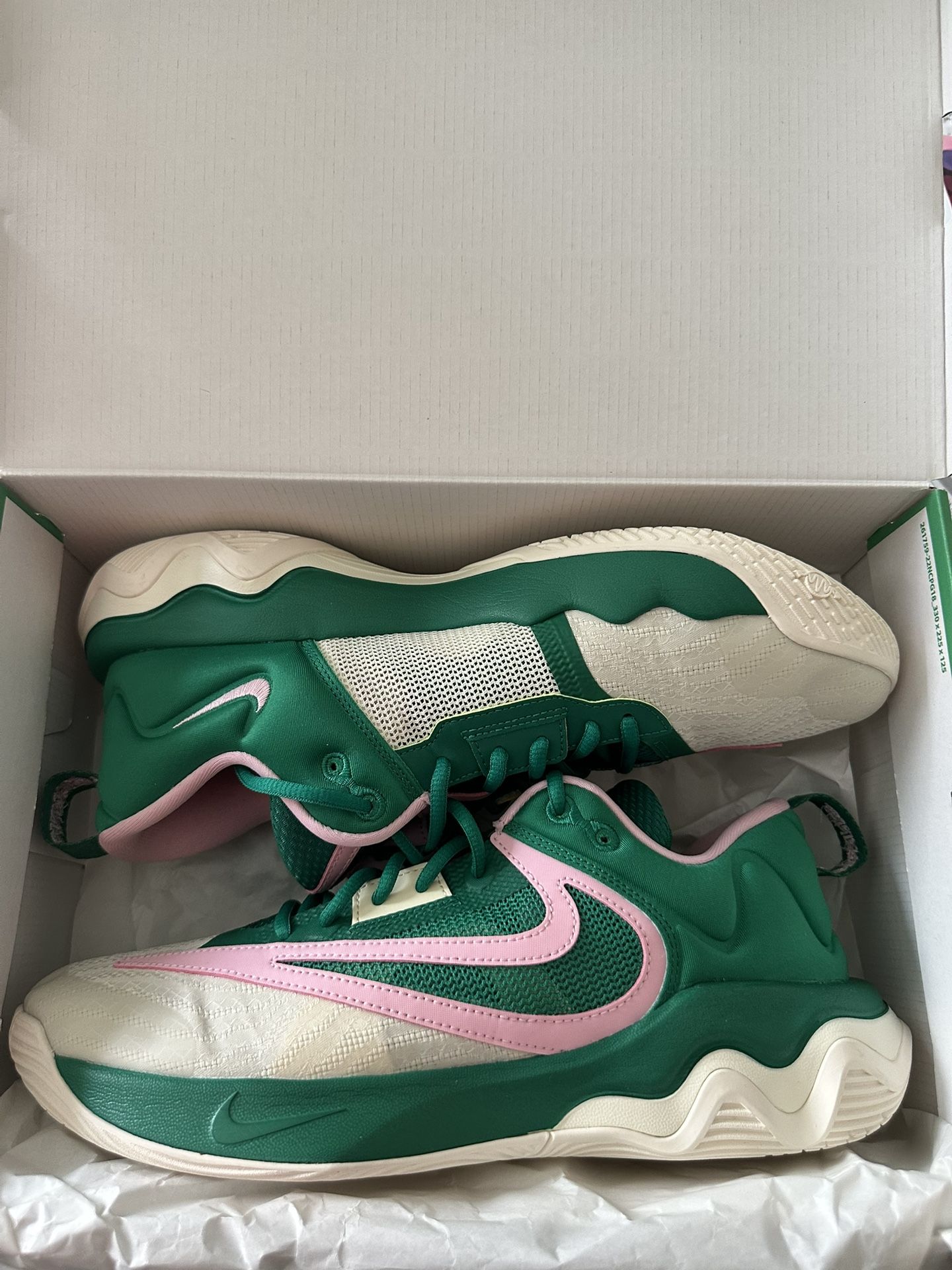 Brand new Nike basketball shoes (Giannis‘s) 