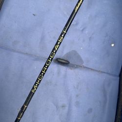 Fishing Rod Microrod 