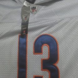 Johnny Knox wide receiver Chicago Bears jersey, 2009 -2012