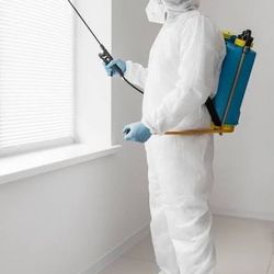 Pest Control