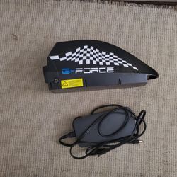 48v battery for GForce ZM bike