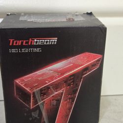 Torchbeam HID Headlight Bulbs Ds1