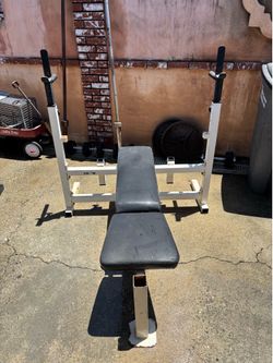 Barbell bench weights and bar included