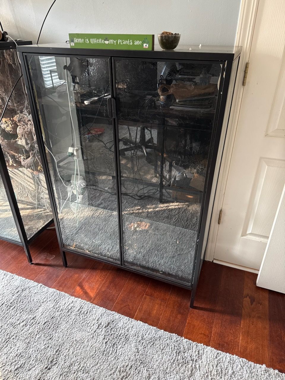 Large Plant Terrarium