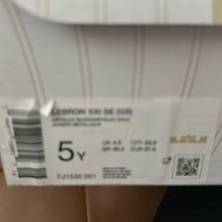 Lebron XXI SE 5 Y