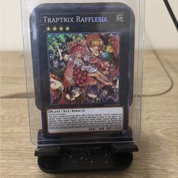 Traptrix Rafflesia