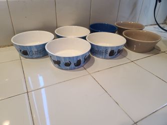 Pet Bowls all for $5