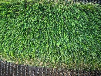 Brand new turf grass 15x25 $530 artificial turf artificial grass