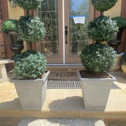 Very  Beautiful nice large 2 artificial Plant For Both 