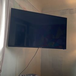Scepter 50’ TV