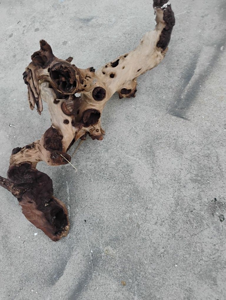 Two Pieces Of Aquarium Driftwood