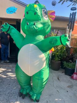 Adults dragon costume