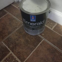 Paint. Black. / Pintura Negra 