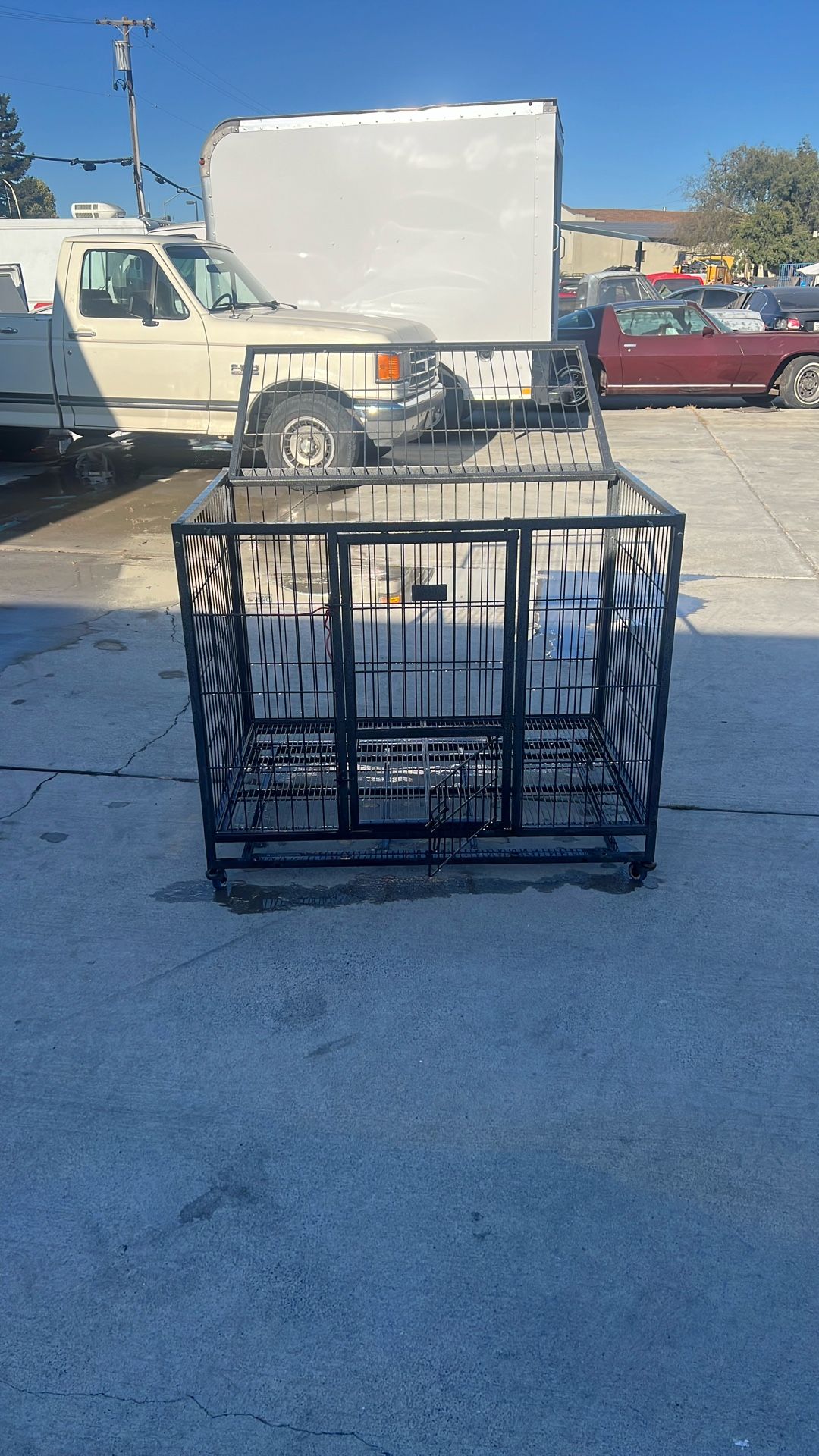 Dog Cage 