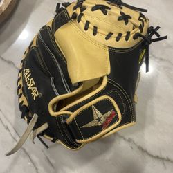 Catchers Glove 