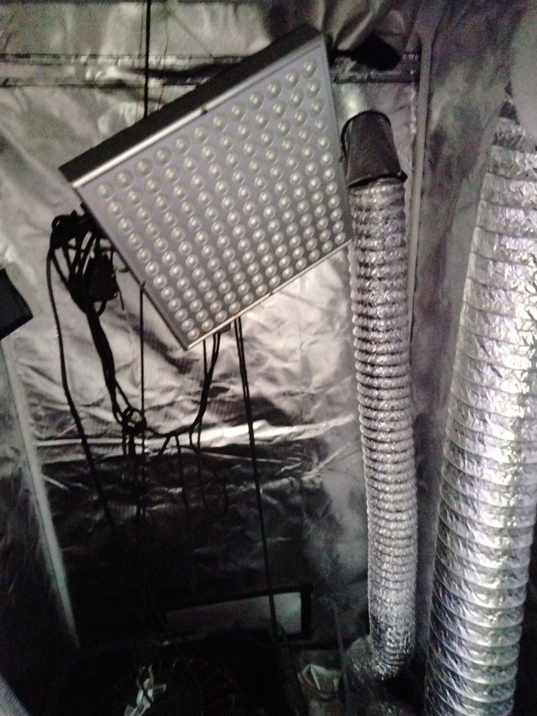 Grow Tent And Setup