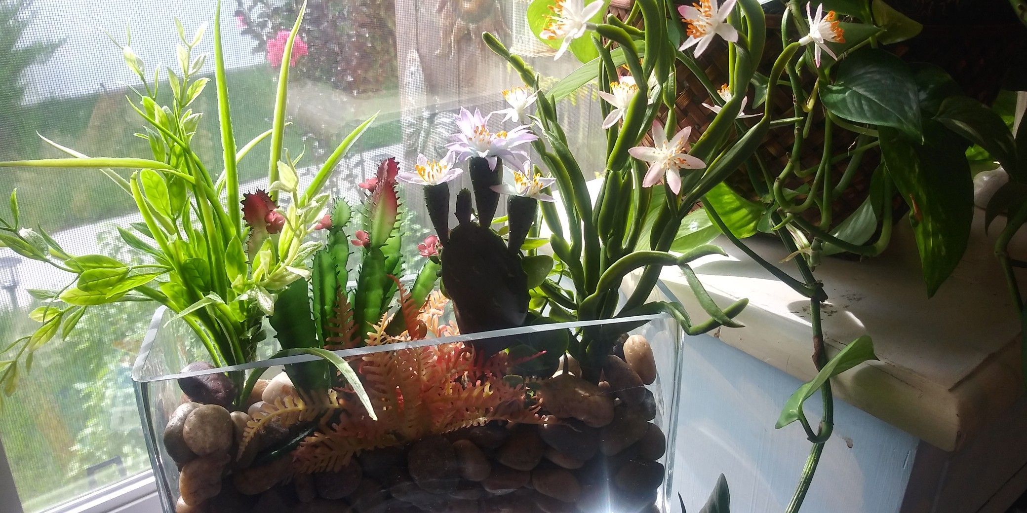 Artificial succulents in glass container