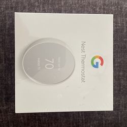Nest Thermostat/ Google