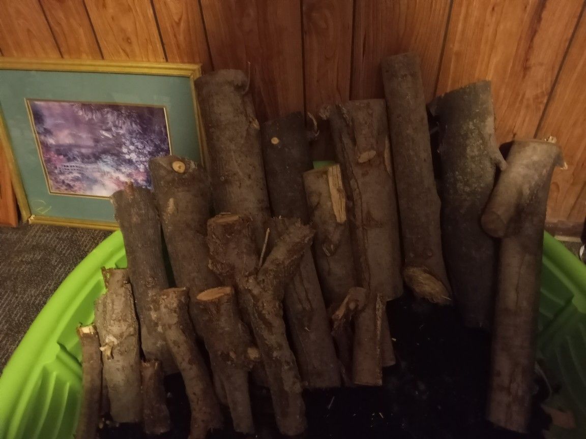 Bundle Of Wood Good Condition $10.00 For All 
