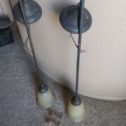 Decorative Drop Down House Lighting