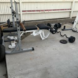 Selling weights and bench 