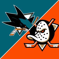 Ducks At Sharks 