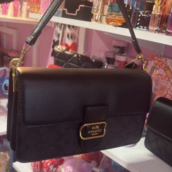 Black With Dark brown Coach Bag 